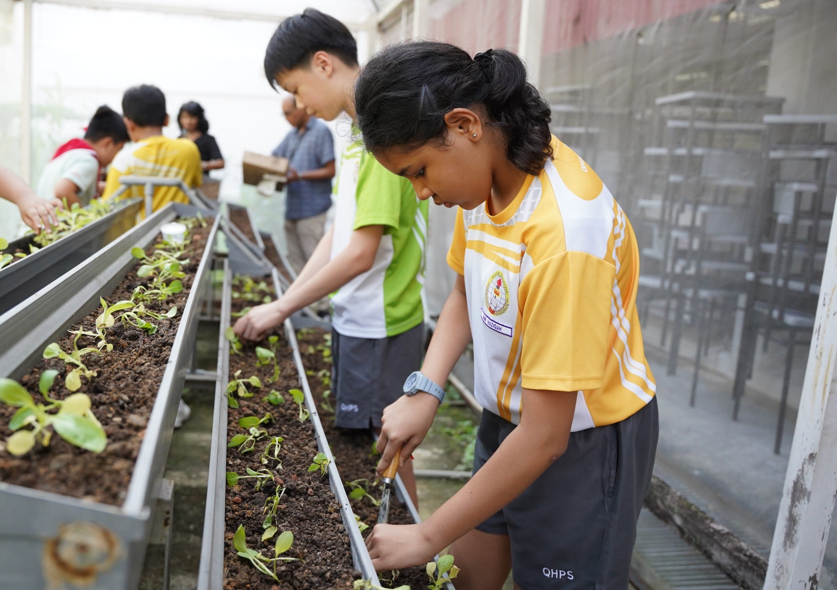 A girl in yellow house shirt and a boy in green house shirt planting plants in an organic greenhouse